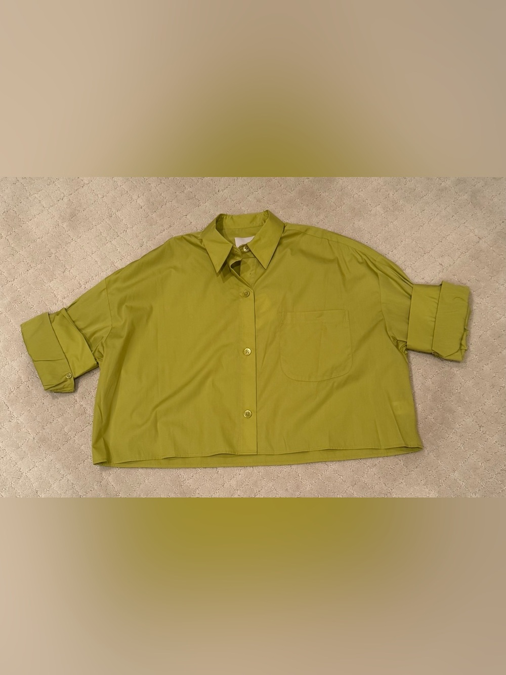 NWT’s TWP Blouse